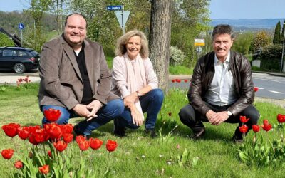 SPD freut sich über Blütenpracht auf der Karthause